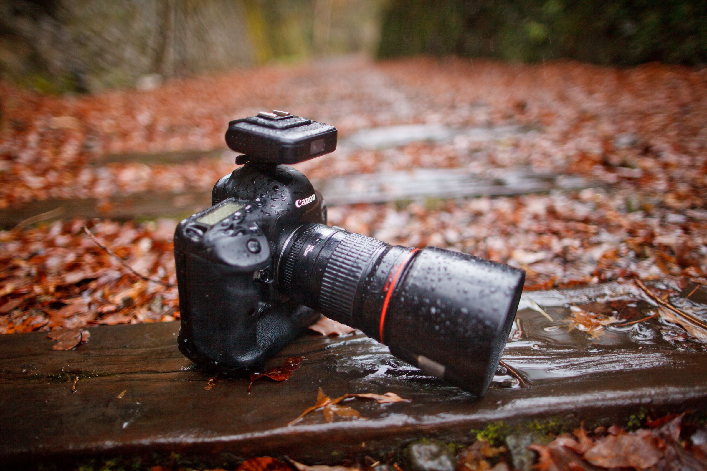 How to protect camera gears during monsoon – A must-read for all photographers.
